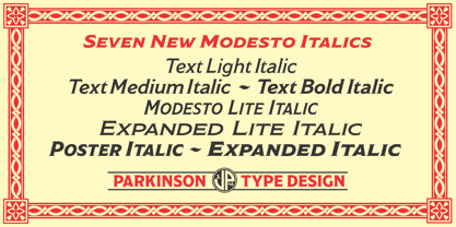 Modesto Text Font Poster 4