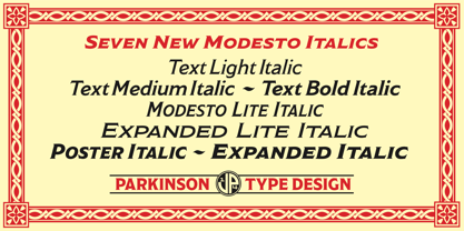 Modesto Font Poster 5