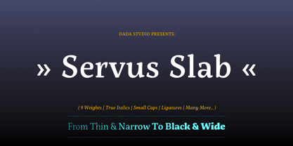 Servus Slab Font Poster 1
