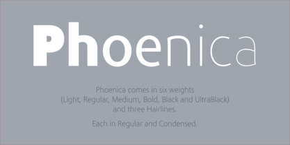 Phoenica Std Font Poster 1