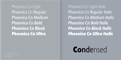 Phoenica Std Font Poster 5