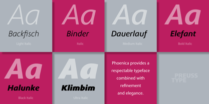 Phoenica Std Font Poster 9