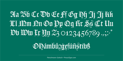 Fleischmann Gotisch PT Font Poster 11