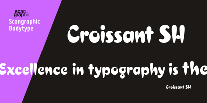 Croissant SH Police Poster 1