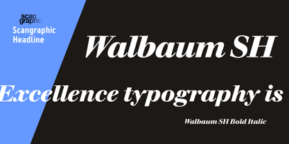 Walbaum SH Font Poster 1