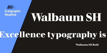 Walbaum SH Font Poster 2