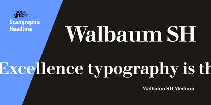 Walbaum SH Font Poster 3