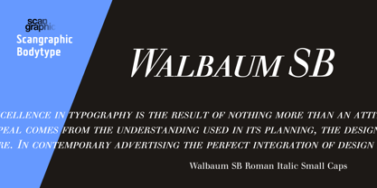 Walbaum SB Fuente Póster 1