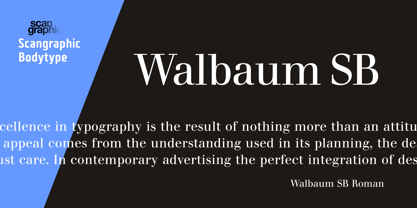 Walbaum SB Font Poster 3
