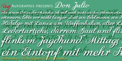 DonJulio Font Poster 2