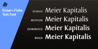 Meier Kapitalis Font Poster 1