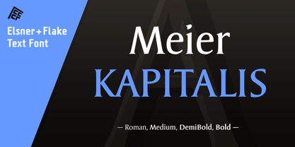 Meier Kapitalis Police Poster 5