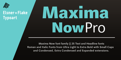 Maxima Now Pro Font Poster 6