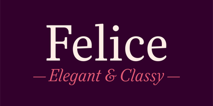 Felice Font Poster 3