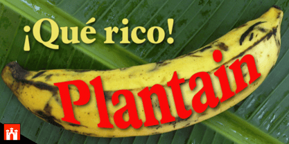 Plantain Font Poster 1