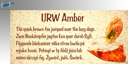 Amber Police Poster 1