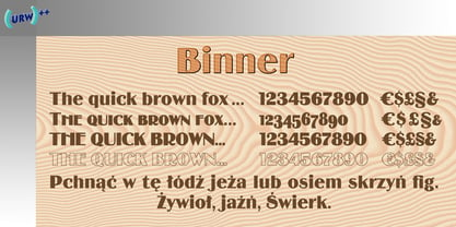 Binner Font Poster 1