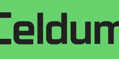 Celdum Font Poster 1