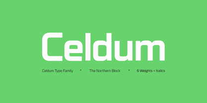 Celdum Font Poster 7