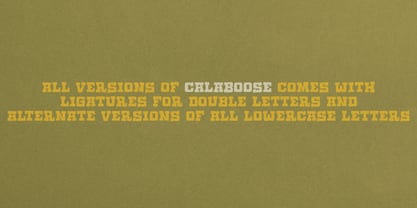 Calaboose Font Poster 3