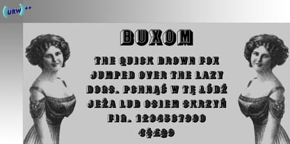 Buxom Font Poster 1
