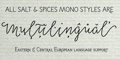 Salt & Spices Mono Font Poster 11