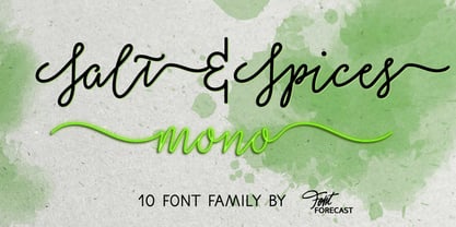 Salt & Spices Mono Font Poster 1