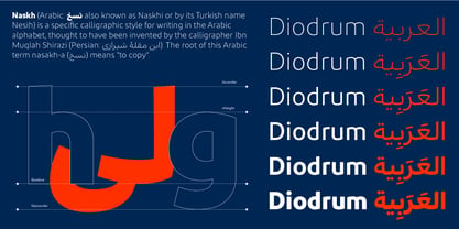 Diodrum Arabic Font Poster 4
