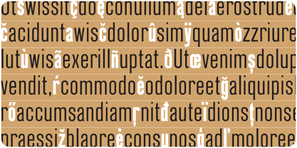 Blop11 Font Poster 5