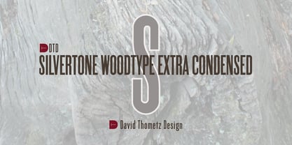 Silvertone Woodtype Fuente Póster 1