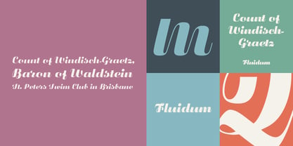 Fluidum Font Poster 1