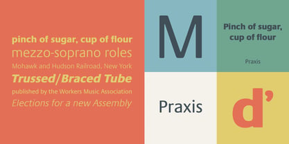 Praxis Font Poster 2