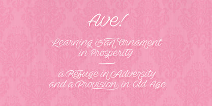 Ave Font Poster 6