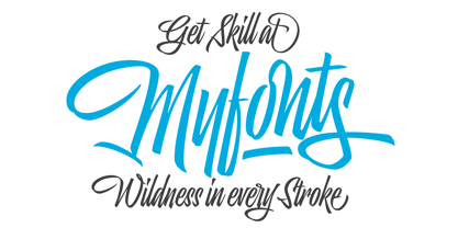 Skill Font Poster 3