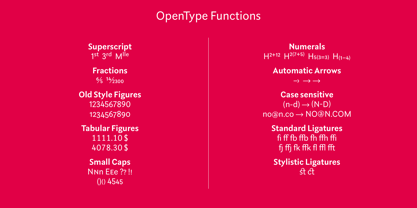 Rubiesque Font Poster 15