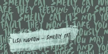 Scrawny Cat Font Poster 2