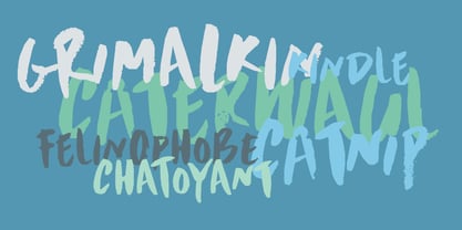 Scrawny Cat Font Poster 5