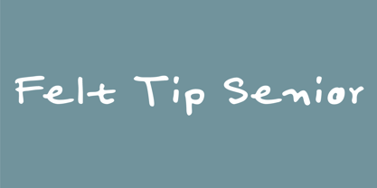 Felt Tip Senior Font Poster 1