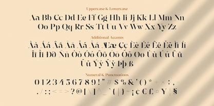 Elegante Classica Font Poster 12