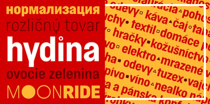 Normatica Font Poster 3