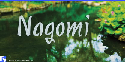 Nagomi Font Poster 1