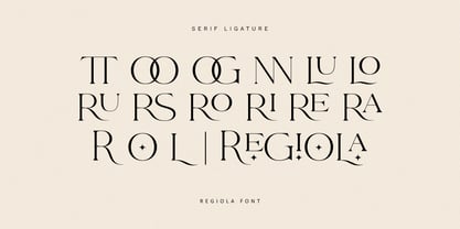 Regiola Script Font Poster 14