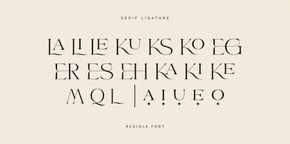 Regiola Script Font Poster 13
