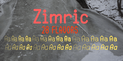Zimric Police Poster 1