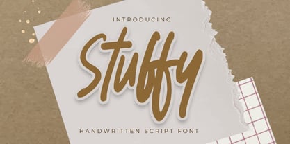 Stuffy Font Poster 1