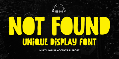 Not Found Font Poster 1