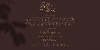 Billies Island Font Poster 9