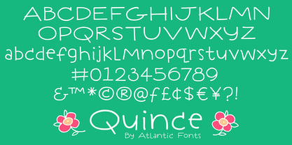 Quince Font Poster 4