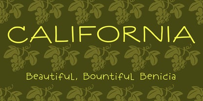 Quince Font Poster 8