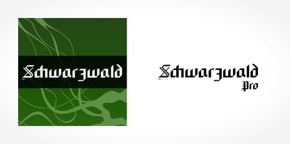 Schwarzwald Pro Font Poster 1